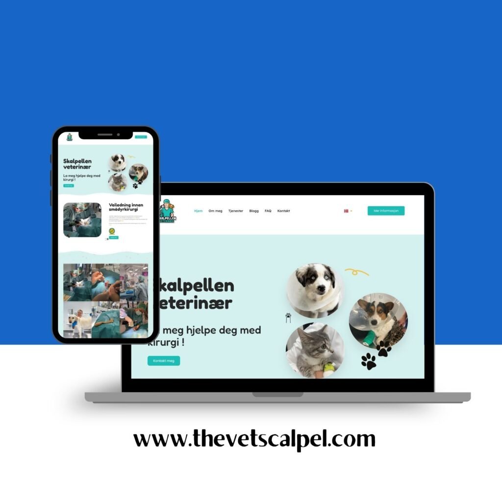 Syntek Labs (Pvt) Ltd | Web Design & Digital Marketing Avissawella